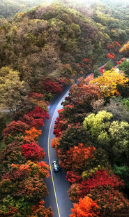 秋日山林间蜿蜒的绚丽公路