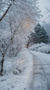 冬日雪覆小路的静谧美景