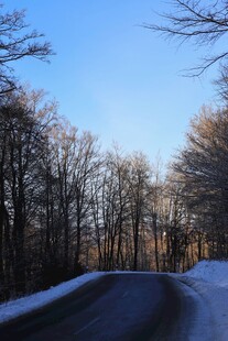 冬日雪覆林间蜿蜒道路