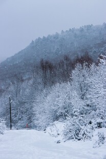 冬日雪景中的银白山林