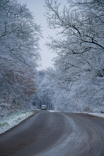 雪覆林间路