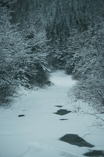 冬日雪覆林间溪流