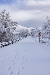 雪后山间小道静谧雪景