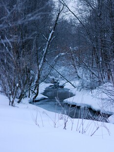 冬日雪覆溪流静谧景象
