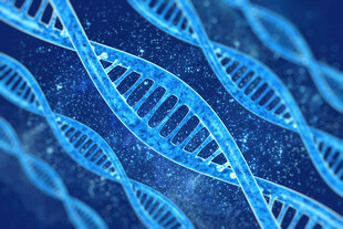 双螺旋DNA分子结构