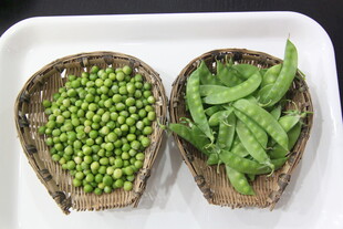 竹篮装的青豌豆与蕨菜