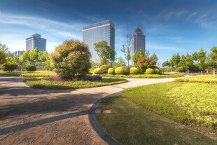 城市公园优美景观