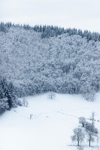 冬日雪覆山林美景
