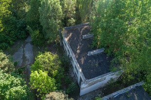废弃建筑被绿植环绕