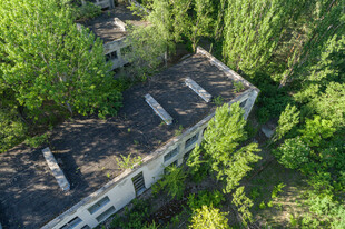 废弃建筑被绿植环绕