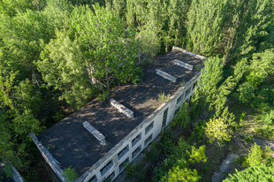 废弃建筑隐于葱郁树林中