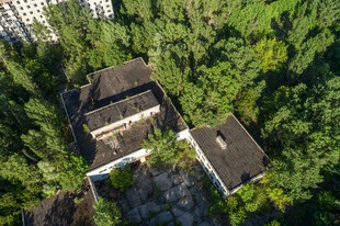 林间静谧小屋