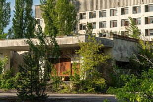 废弃建筑旁的绿植景观