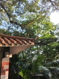 屋顶下的绿意盎然
