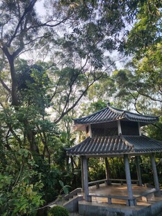 林间古亭