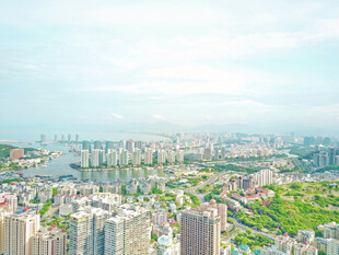 城市全景俯瞰绿意盎然