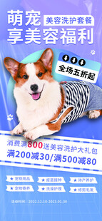 宠物美容海报 