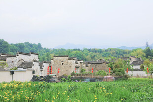 乡村田园风光美景