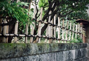 日式古朴竹篱与绿植景致