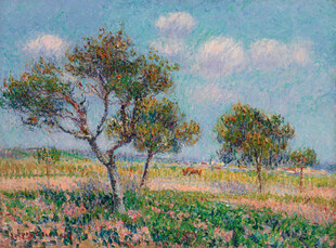 田野孤树风景油画
