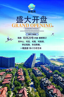 盛大开盘海景城市景观