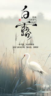 白露时节白鹭立于芦苇间