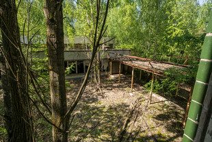 林间荒废木质建筑场景