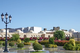 城市街景中的多彩绿植景观