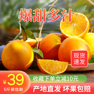 秭归脐橙 