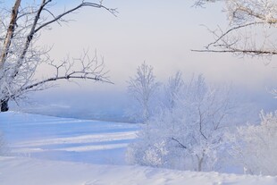 冬日雪景中的静谧银白世界