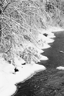 冬日河岸雪景