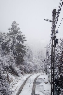 雪覆山林间的蜿蜒道路