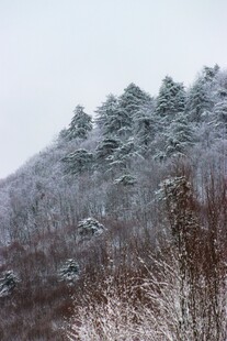 雪覆山林美景