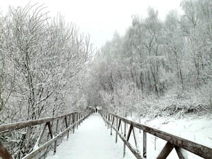 雪覆木桥冬日静谧景致