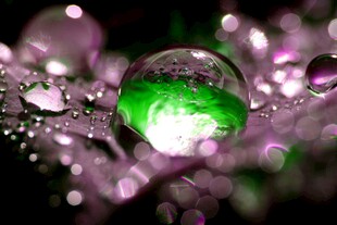 梦幻绿泡与晶莹水珠