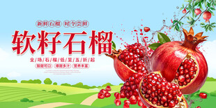 软籽石榴