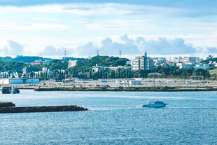 海滨城市风光
