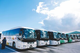 一排整齐停放的旅游大巴