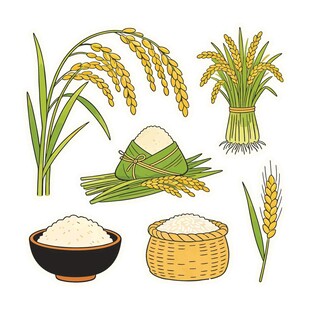 稻穗稻谷大米等粮食元素