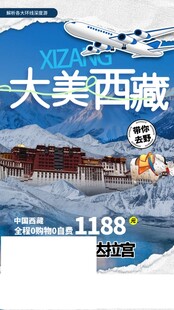 大美西藏旅游宣传海报
