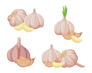 大蒜插画合集