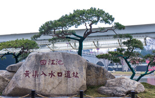 中式园林景观石与松树