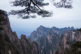 黄山奇峰与松景
