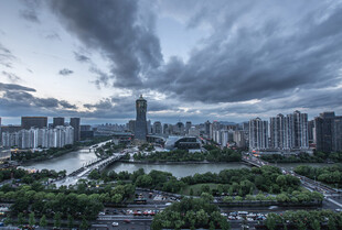城市天际线与乌云下的绿植