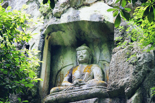山林中的古老佛像