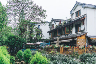 江南风民居绿植环绕景致美