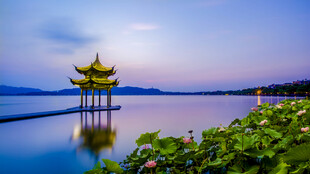 湖畔古亭夜景荷影相伴