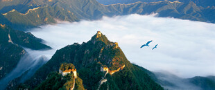 山峦云海壮丽景观