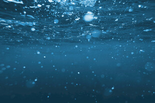 深海气泡梦幻景象