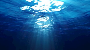 深海之光梦幻水下景象